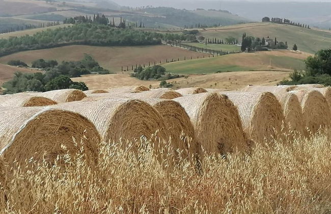 Charming Retreat in Armaiolo - Foto 38