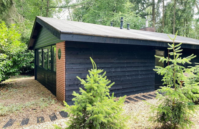 Holiday Home in Rheezerveen With Wellness Area - Photo 18