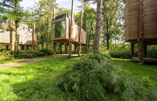Treehouse in Tournai With Sauna and Terrace - Foto 24
