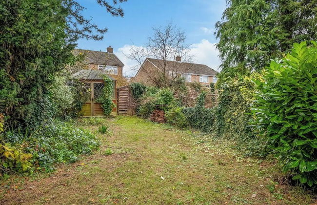 16th Century Thatched Cottage - Foto 18