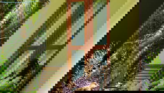 Imagem principal