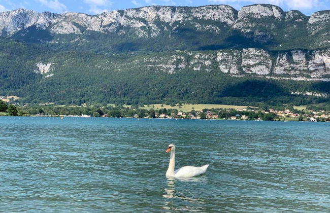 Retreat Near Lake Annecy - Photo 14