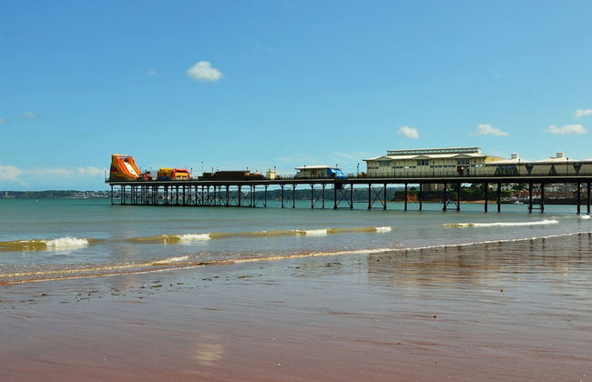 The Spinney in Paignton - Foto 50