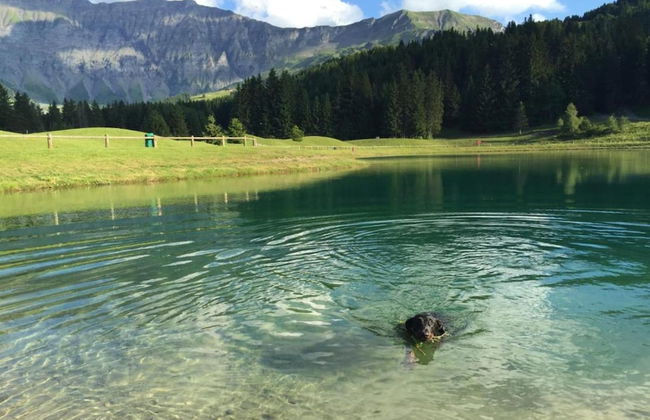 Stylish Chalet in Charming Megeve - Foto 23