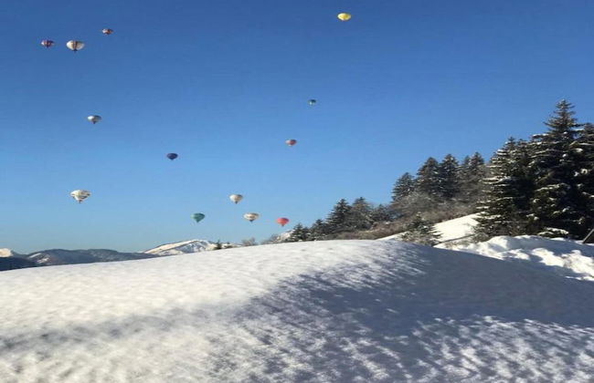 Stylish Chalet in Charming Megeve - Foto 35