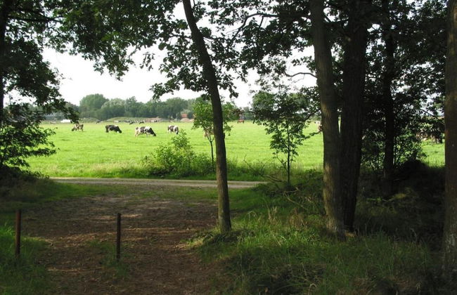 Lodge in Schaijk Near Green Forests - Foto 40