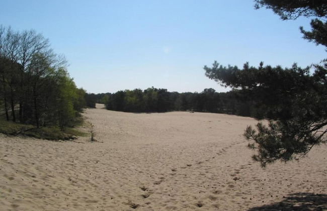 Lodge in Schaijk Near Green Forests - Foto 37