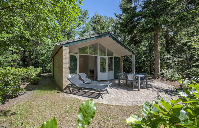 Designer Chalet in the Veluwe - Foto 1