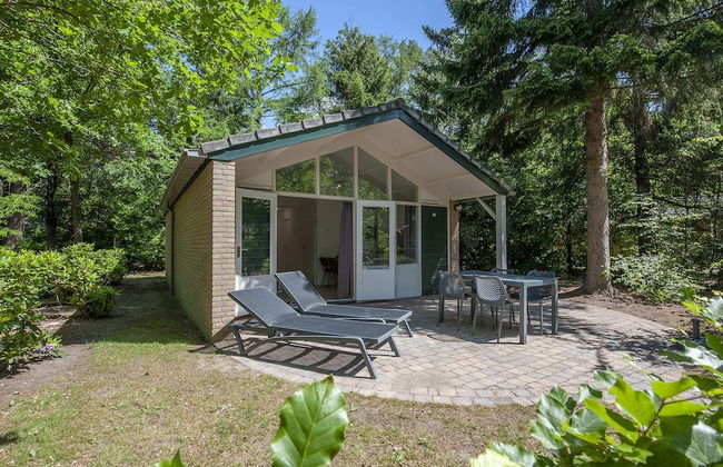 Designer Chalet in the Veluwe - Foto 25