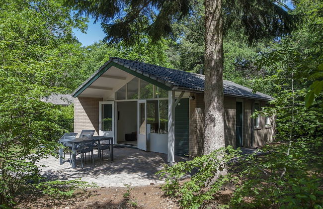 Comfortable Bungalow on the Veluwe - Foto 1
