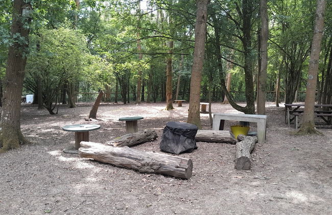 Little Greenwood Shepherd Hut - Foto 23