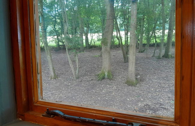 Little Greenwood Shepherd Hut - Foto 33
