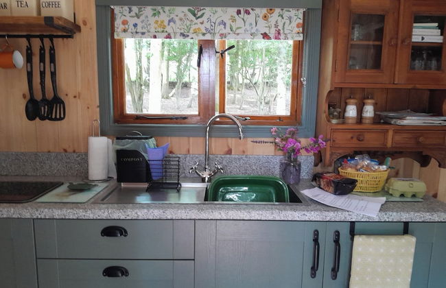 Little Greenwood Shepherd Hut - Foto 11