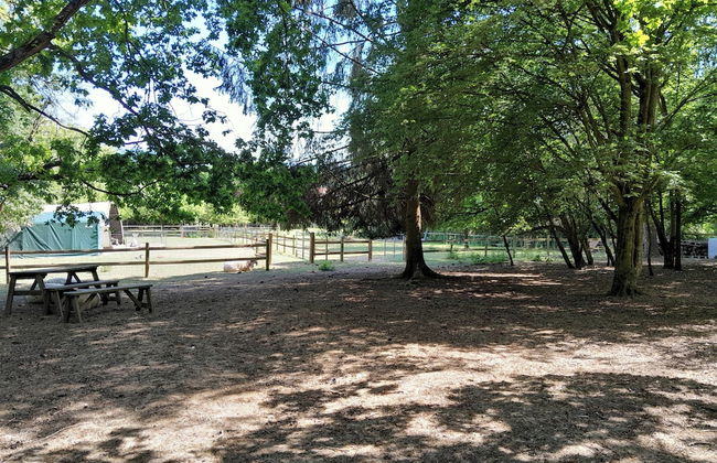 Little Greenwood Shepherd Hut - Foto 21