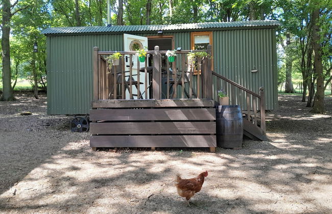 Little Greenwood Shepherd Hut - Foto 20