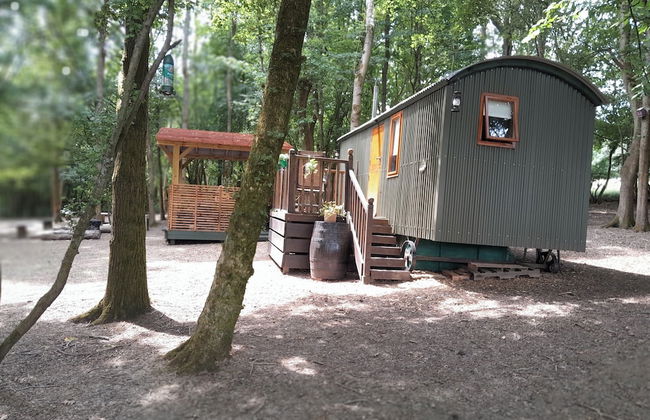 Little Greenwood Shepherd Hut - Foto 32