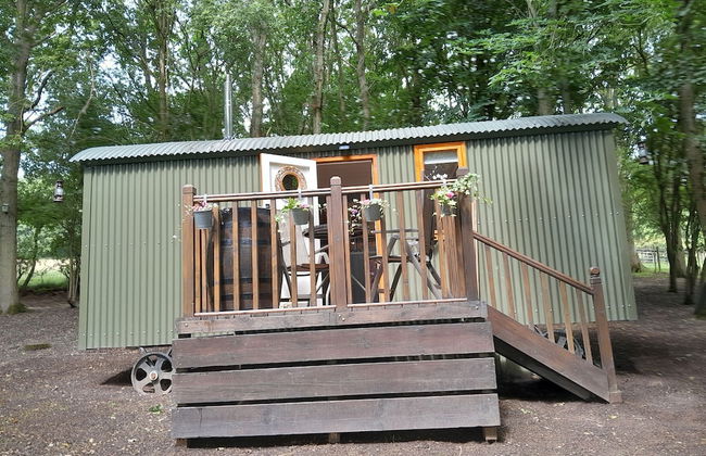 Little Greenwood Shepherd Hut - Foto 31