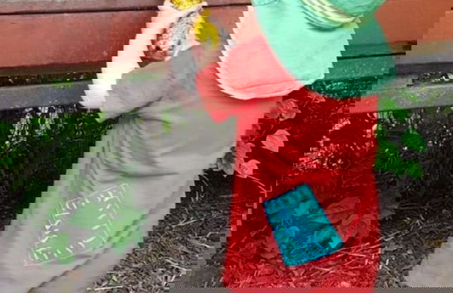 Farm Ferienhof Albert - Foto 25