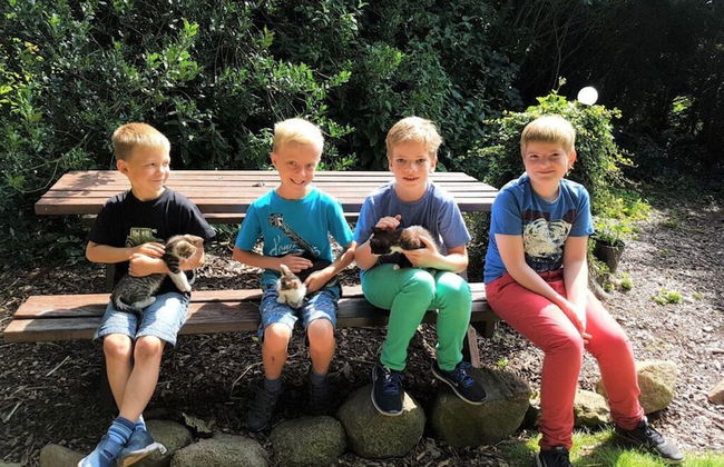 Farm Ferienhof Albert - Foto 35