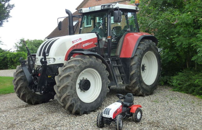 Farm Ferienhof Albert - Foto 37