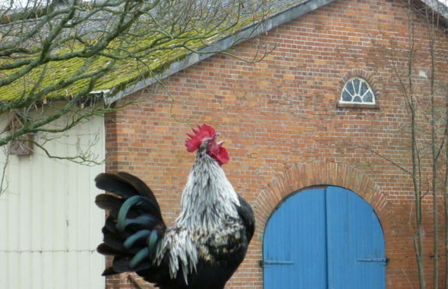 Farm Ferienhof Albert - Foto 20