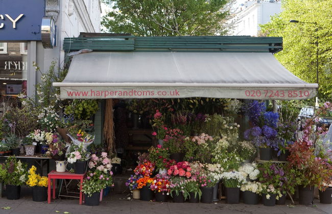 Arundel Gardens by Onefinestay - Foto 29
