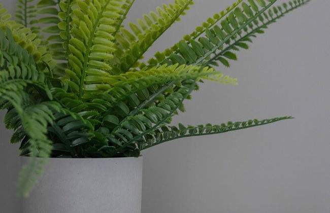 Bażantów Studio Katowice by Renters - Foto 43