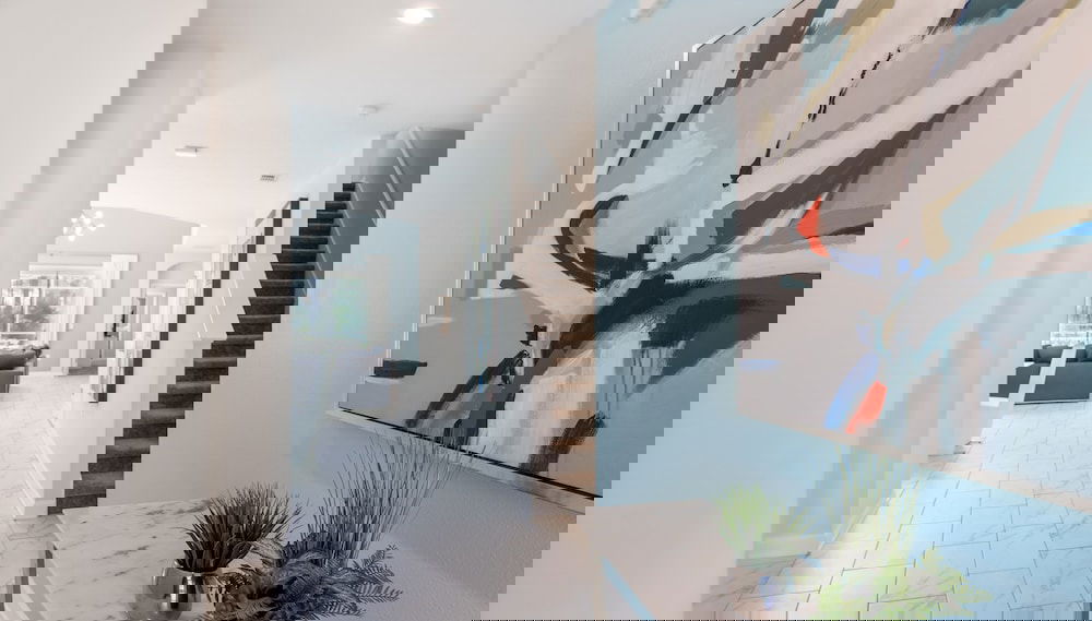 Imagem principal