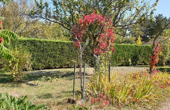 Des Histoires d'Anges - Le gîte - Foto 21