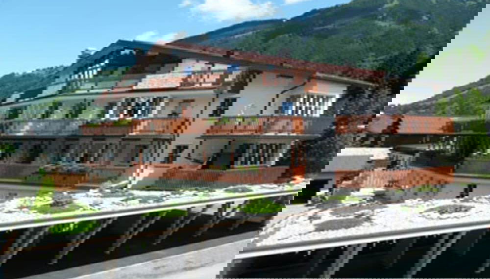 Imagem principal