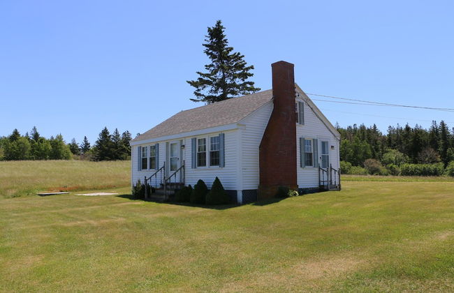 Point Field - Foto 12