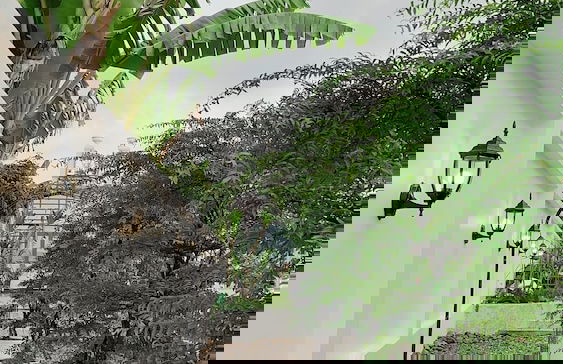 Tây Homestay 968 - Photo 20