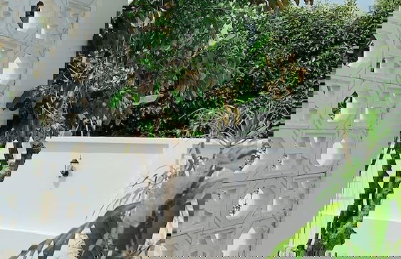 Tây Homestay 968 - Photo 18