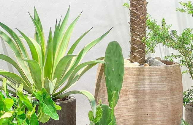 Tây Homestay 968 - Photo 15