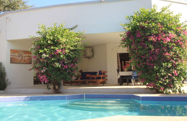 Amour Sénégal - Foto 39