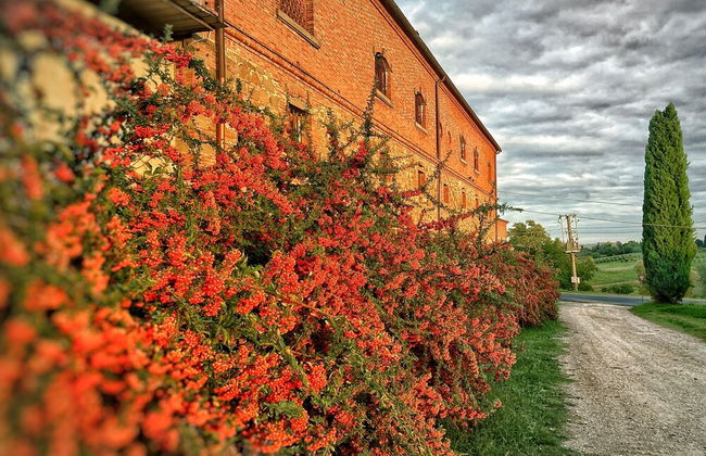 Fattoria Santa Vittoria Apartment "lepre" - Foto 25