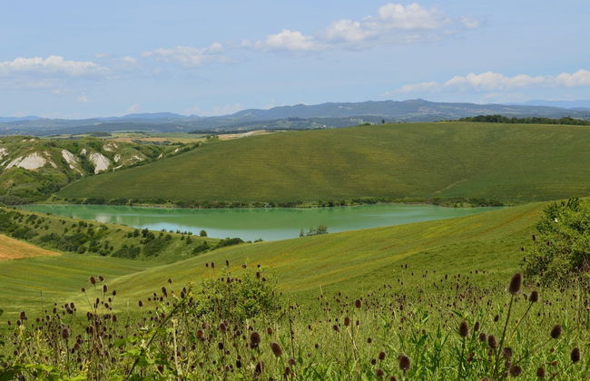 Cottage With Private Swimming Pool - Foto 19