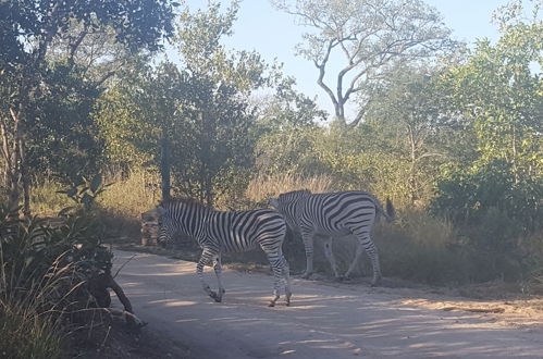 Photo 50 - Kruger National Elephant Point Lodge