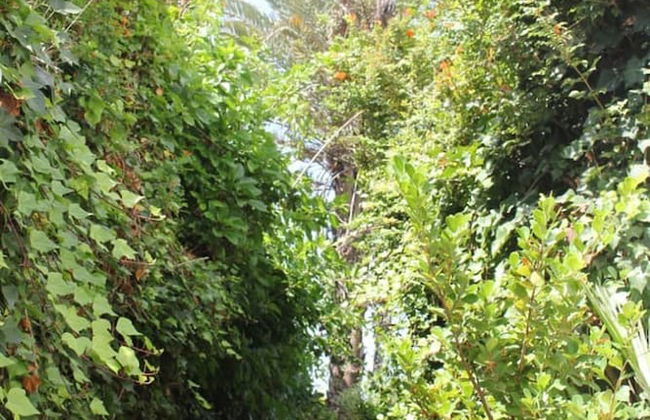 Maison Etoile De Mer 2 - Foto 17