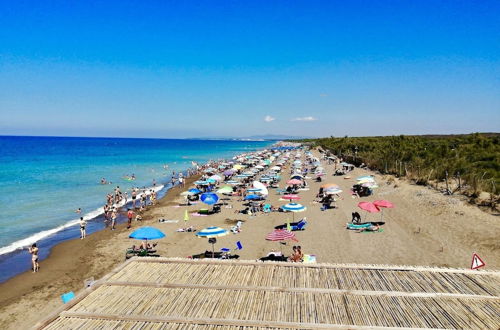 Foto 1 - Seaside Apartment - Tuscany - Marina di Bibbona Riviera Degli Etruschi