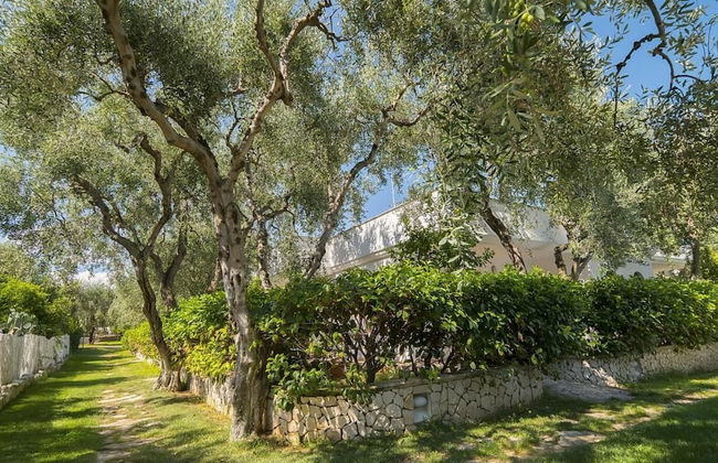 Ferienwohnung "ulivo" mit Pool und Privatstrand -1 - Photo 50