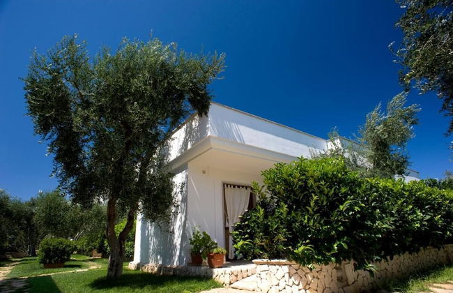 Ferienwohnung "ulivo" mit Pool und Privatstrand -1 - Photo 48