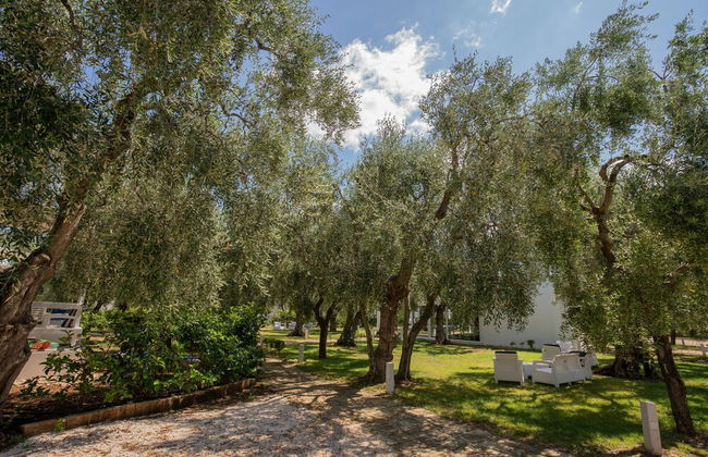 Ferienwohnung "ulivo" mit Pool und Privatstrand -1 - Photo 45