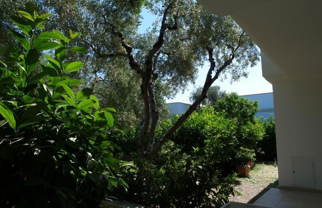 Ferienwohnung "ulivo" mit Pool und Privatstrand -1 - Photo 73