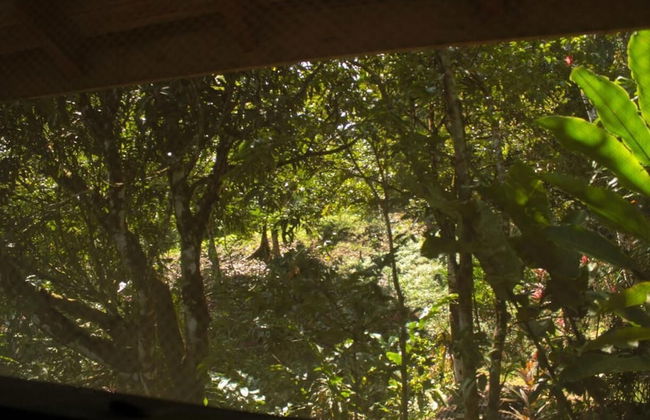 Bungalow Casa Bosque, With Balcony and sea View - Foto 15