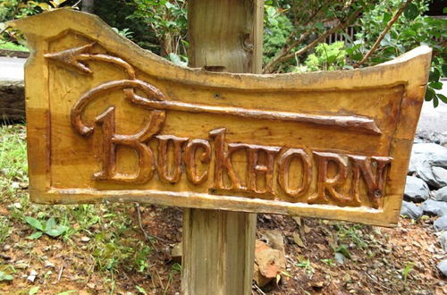 Photo 22 - Buckhorn