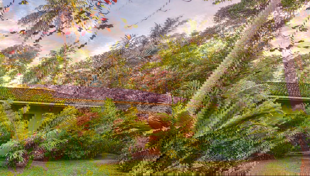Image principale