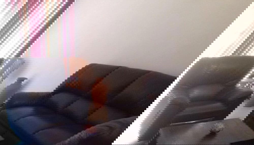 Image principale