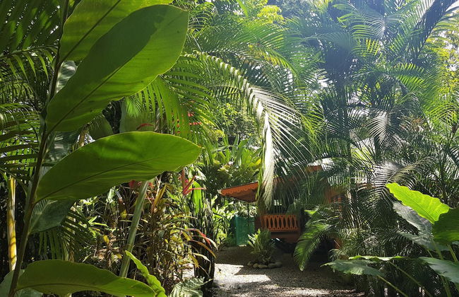 El Jardin de Playa Negra - Foto 52
