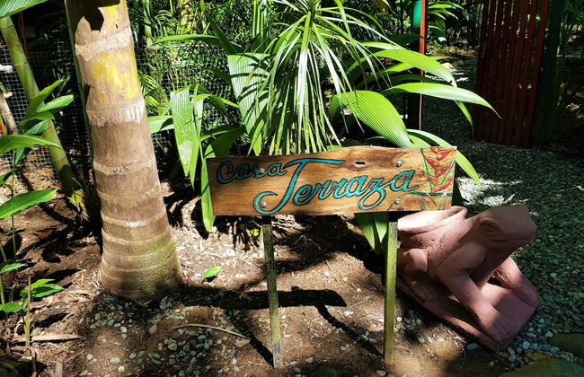 El Jardin de Playa Negra - Foto 53
